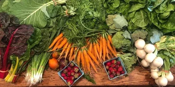 Львів чекає на сільськогосподарські ярмарки Києва