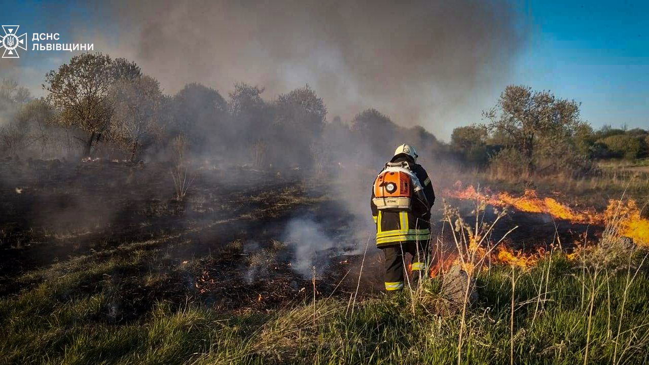 Пожежа у Стрийському районі: згоріло 20 вуликів