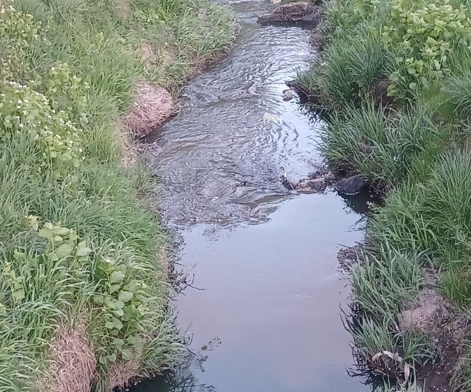 Екологічна тривога у Львові: річка Зубра під загрозою