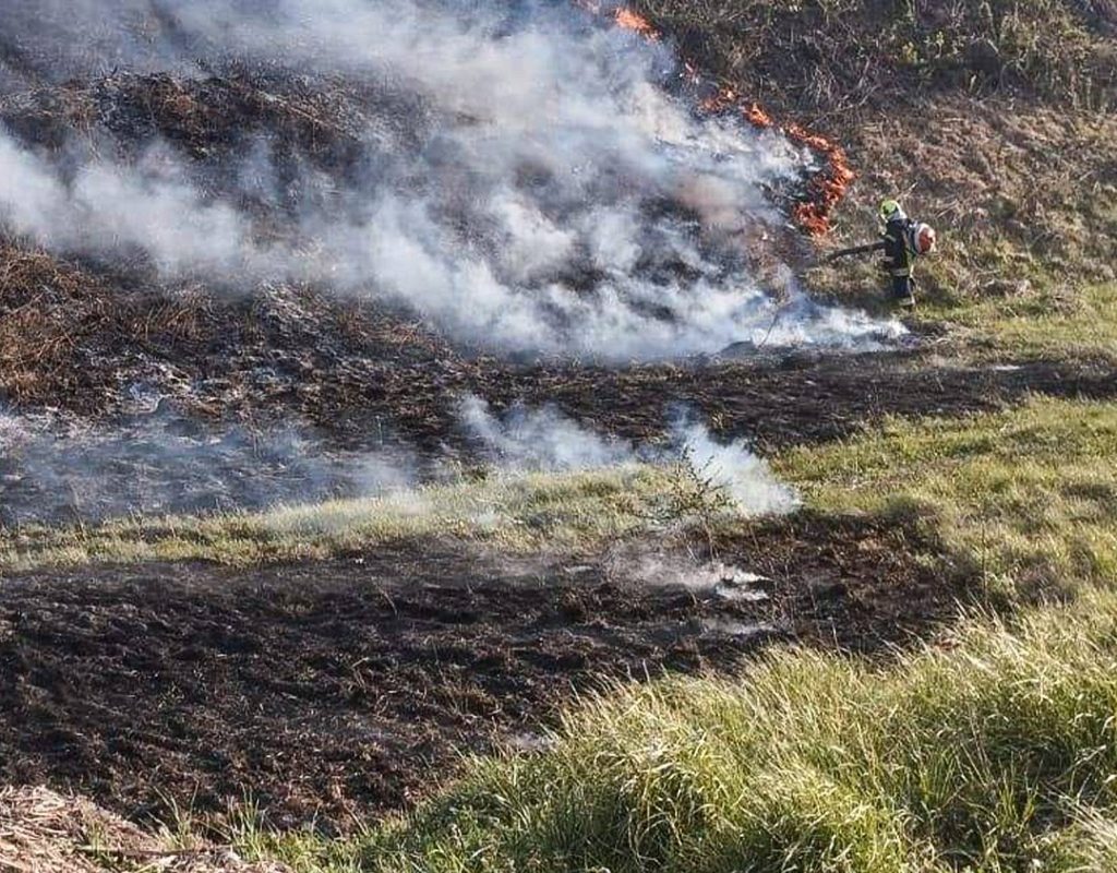 Львівщина у вогні: 63 займання сухої рослинності за добу