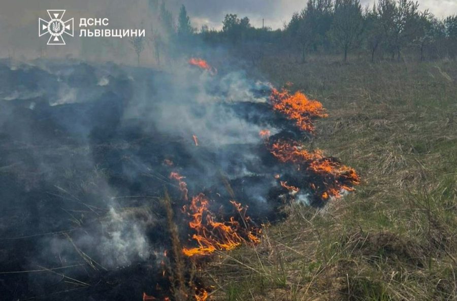 Львів: 21 осіб оштрафовано за підпал сухостою