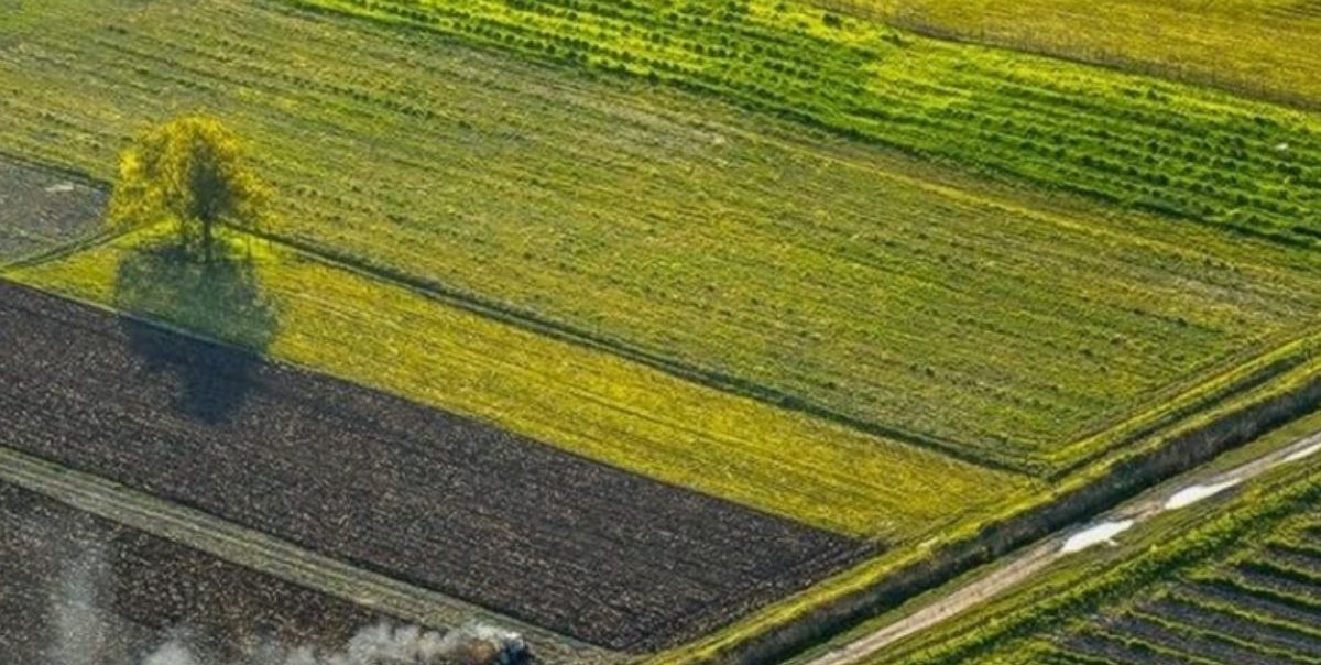 Львів: 37 тис. земельних ділянок продано через Prozorro.Продажі
